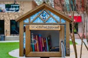 Les bibliothèques de rue fleurissent en France