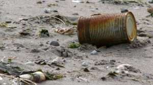 Les déchets dans la nature menacent l'écosystème et l'Homme